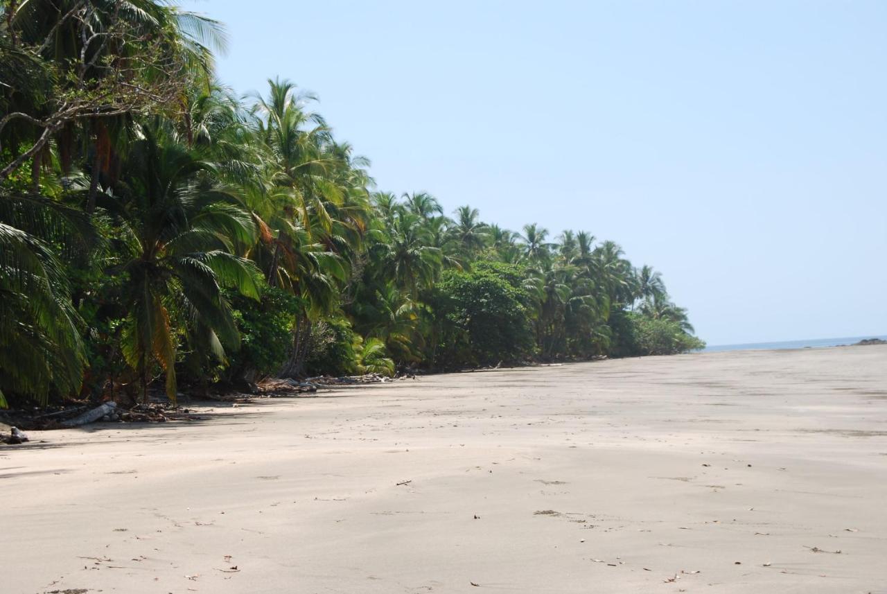 El Nido Del Tucan Βίλα Torio Εξωτερικό φωτογραφία