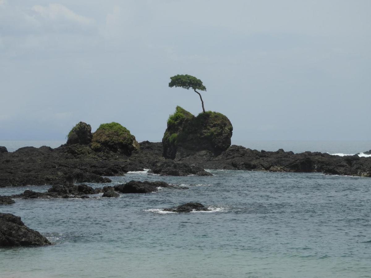 El Nido Del Tucan Βίλα Torio Εξωτερικό φωτογραφία